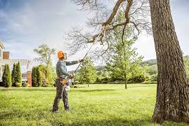 Reliable Jerome, ID Tree Care Solutions