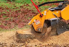 Best Weed Control  in Jerome, ID